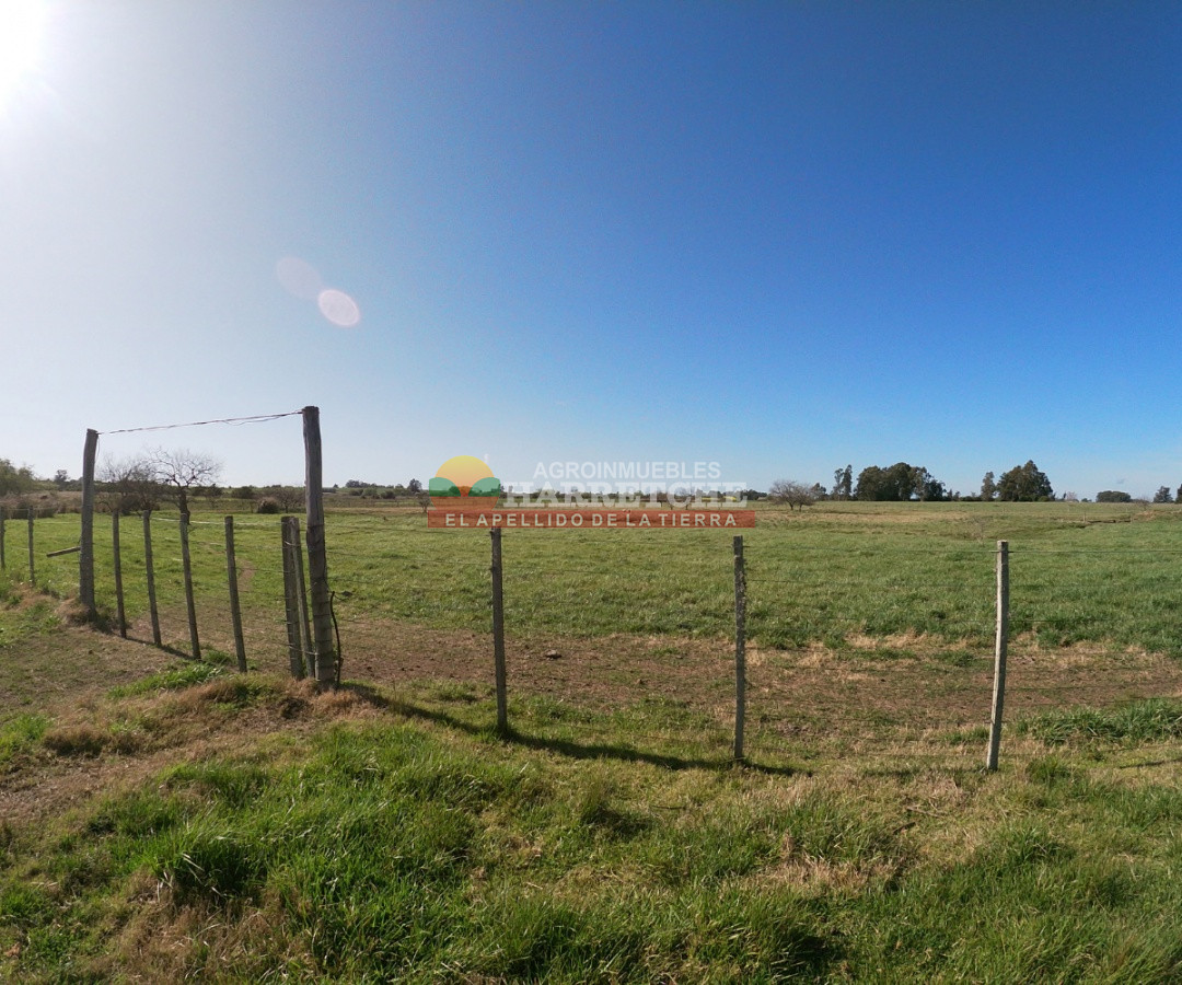 Campo Ref.263 - Campo en venta 18 has  Canelones, con todas las instalaciones! 