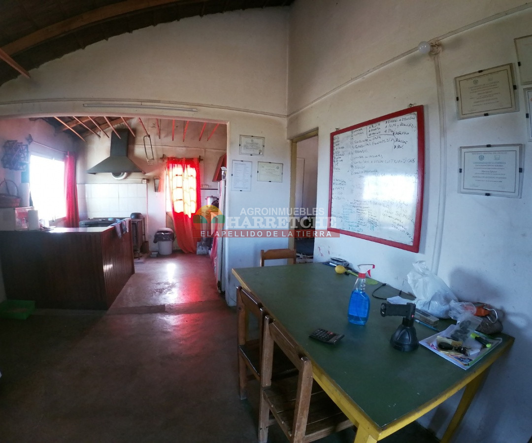 Campo Ref.263 - Campo en venta 18 has  Canelones, con todas las instalaciones! 