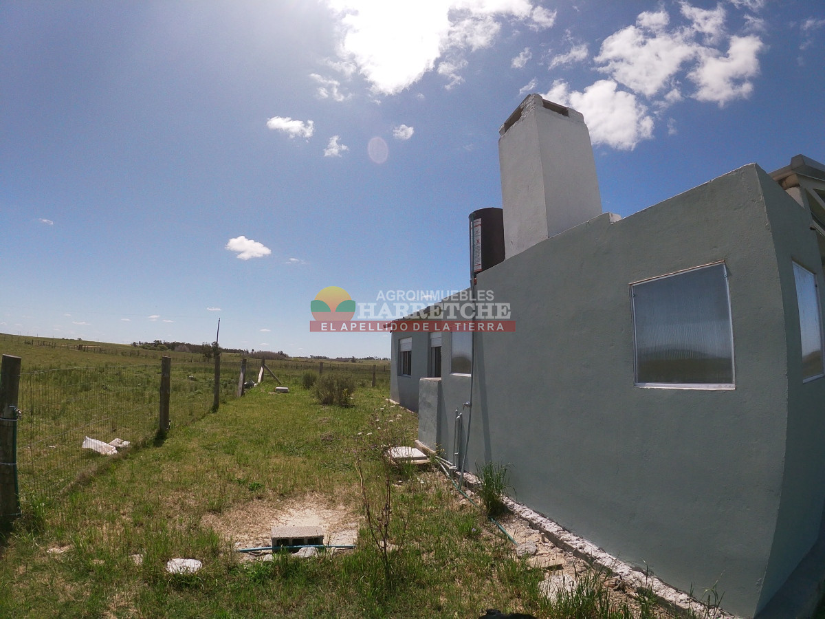 Campo Ref.345 - Campo en venta 19 has en Tapia, 2 casas, tajamares, a 15 min de San Jacinto! 