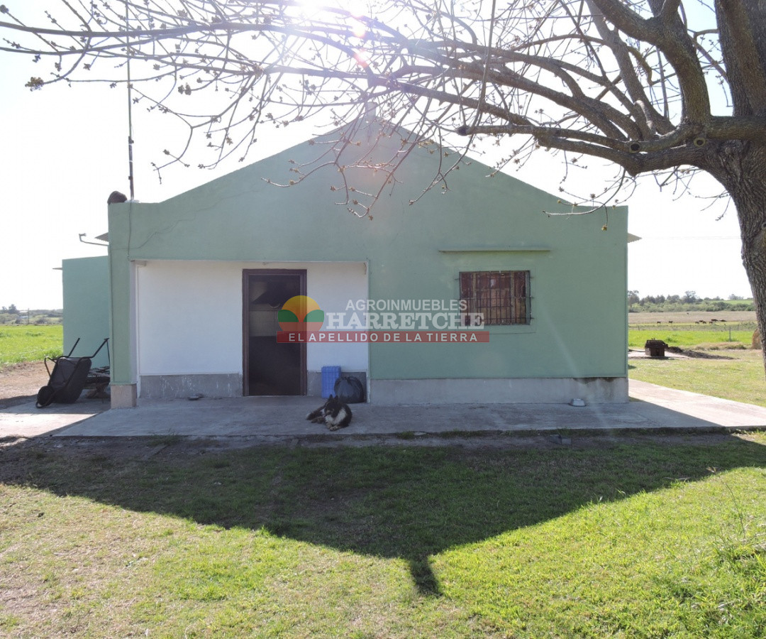 Campo Ref.263 - Campo en venta 18 has  Canelones, con todas las instalaciones! 
