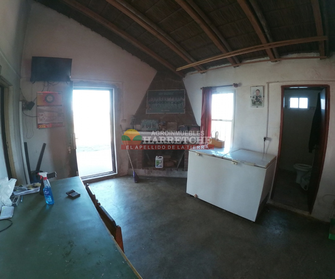 Campo Ref.263 - Campo en venta 18 has  Canelones, con todas las instalaciones! 