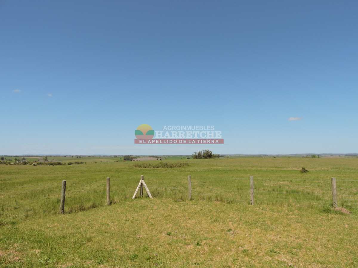 Campo Ref.345 - Campo en venta 19 has en Tapia, 2 casas, tajamares, a 15 min de San Jacinto! 