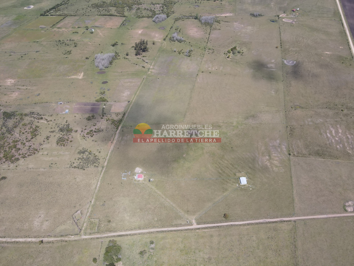 Campo Ref.345 - Campo en venta 19 has en Tapia, 2 casas, tajamares, a 15 min de San Jacinto! 