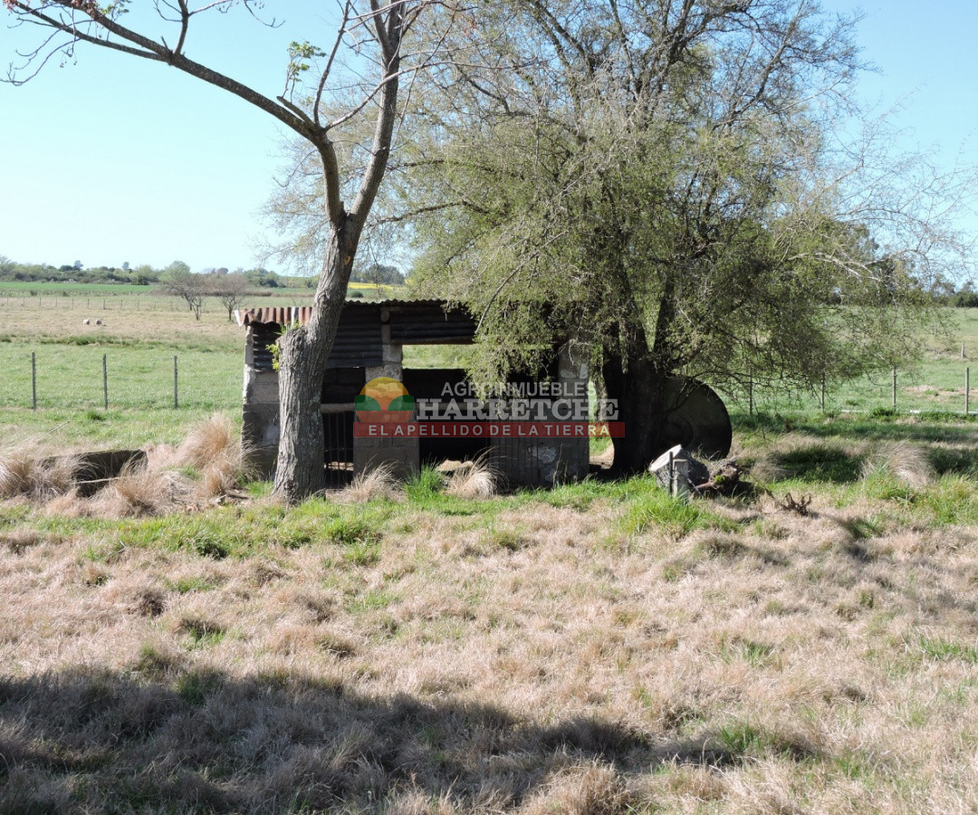 Campo Ref.263 - Campo en venta 18 has  Canelones, con todas las instalaciones! 