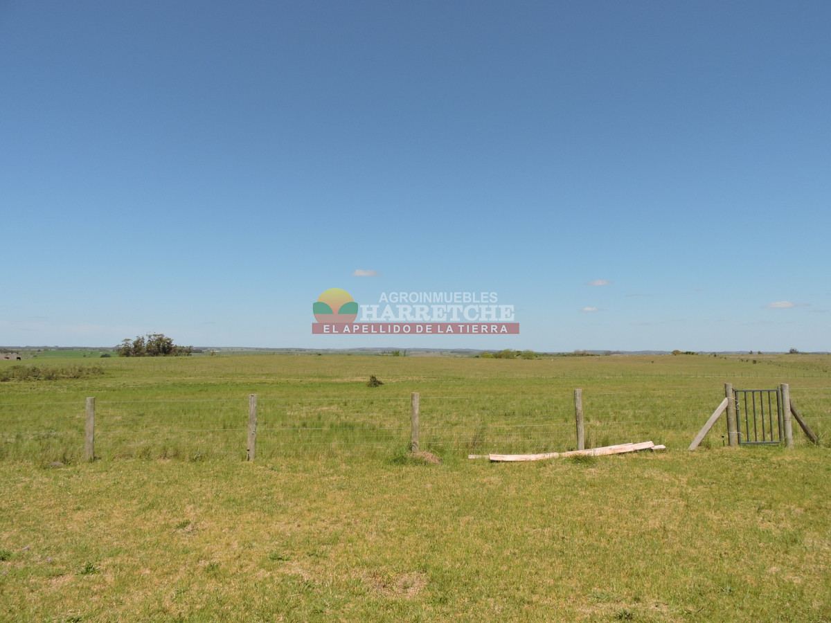Campo Ref.345 - Campo en venta 19 has en Tapia, 2 casas, tajamares, a 15 min de San Jacinto! 