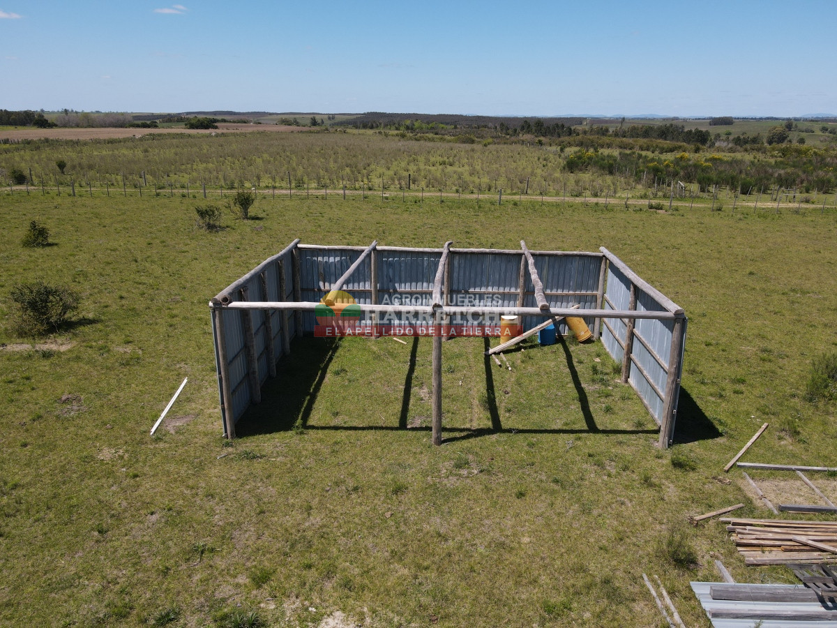 Campo Ref.345 - Campo en venta 19 has en Tapia, 2 casas, tajamares, a 15 min de San Jacinto! 