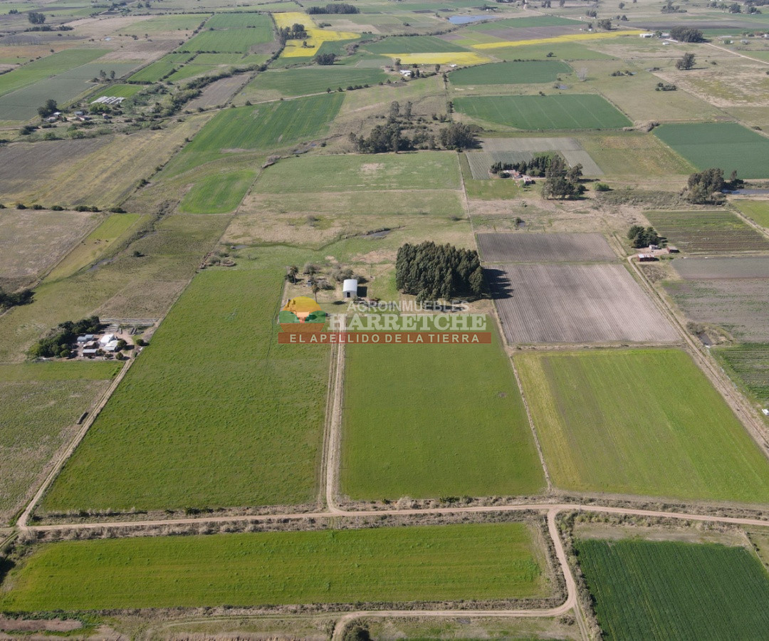 Campo Ref.263 - Campo en venta 18 has  Canelones, con todas las instalaciones! 