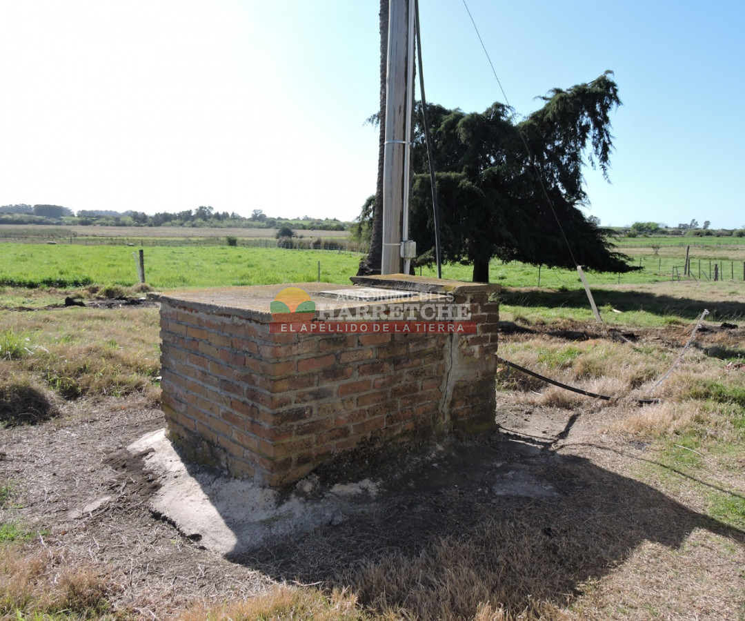 Campo Ref.263 - Campo en venta 18 has  Canelones, con todas las instalaciones! 