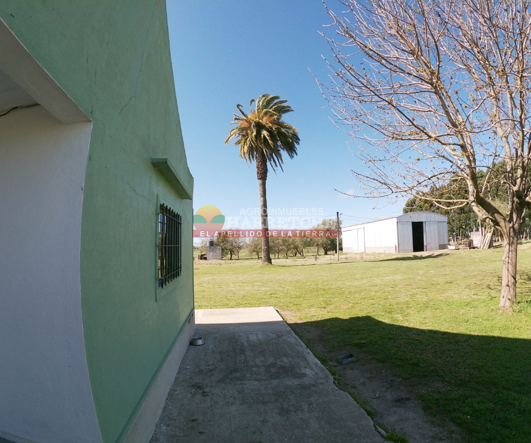 Campo Ref.263 - Campo en venta 18 has  Canelones, con todas las instalaciones! 