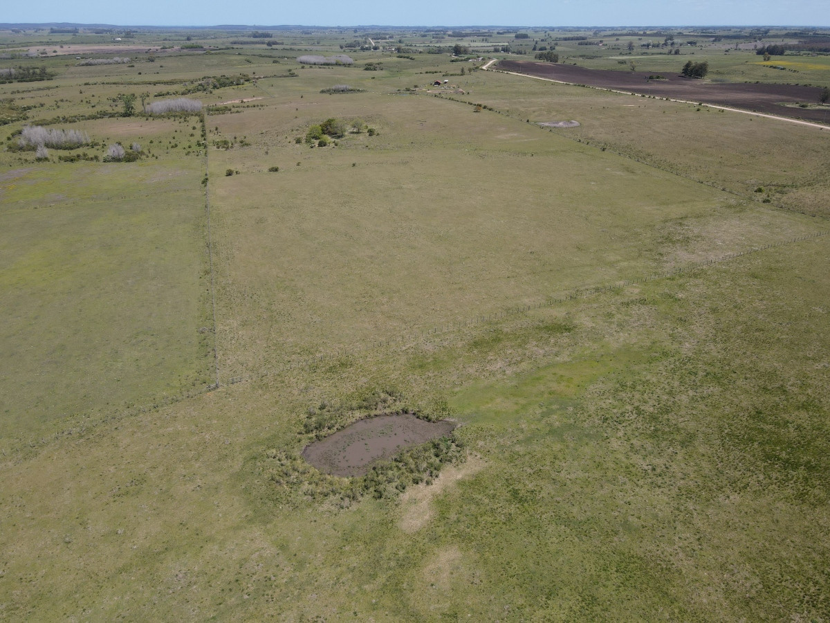 Campo en venta 19 has en Tapia, 2 casas, tajamares, a 15 min de San Jacinto! 
