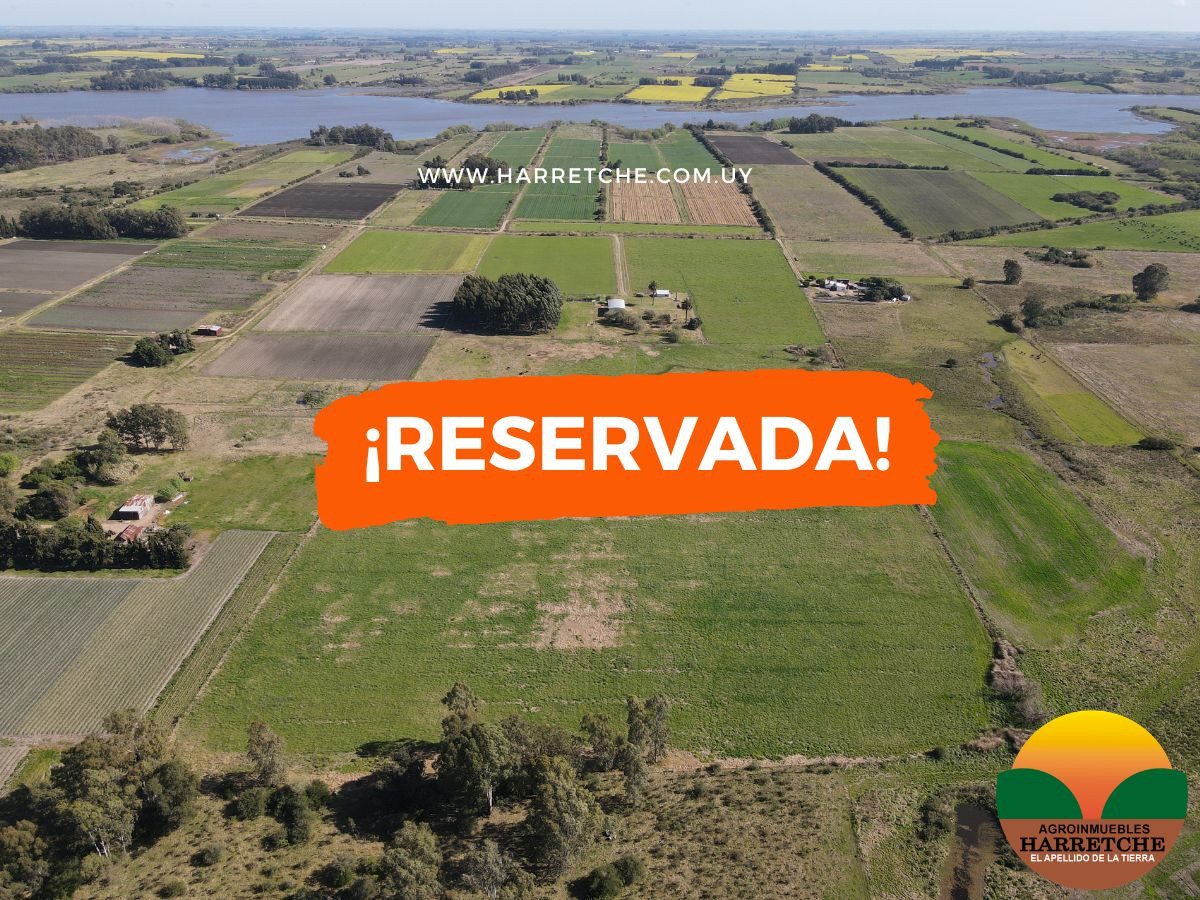 Campo en venta 18 has  Canelones, con todas las instalaciones! 