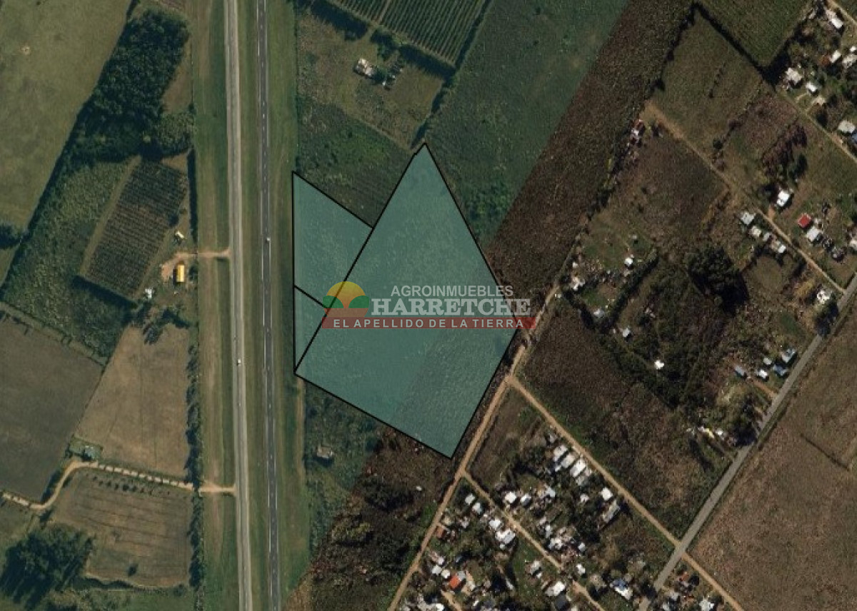 Terreno ID.442 - Terreno Industrial Estratégico sobre Ruta 5 ideal para Polo Logístico