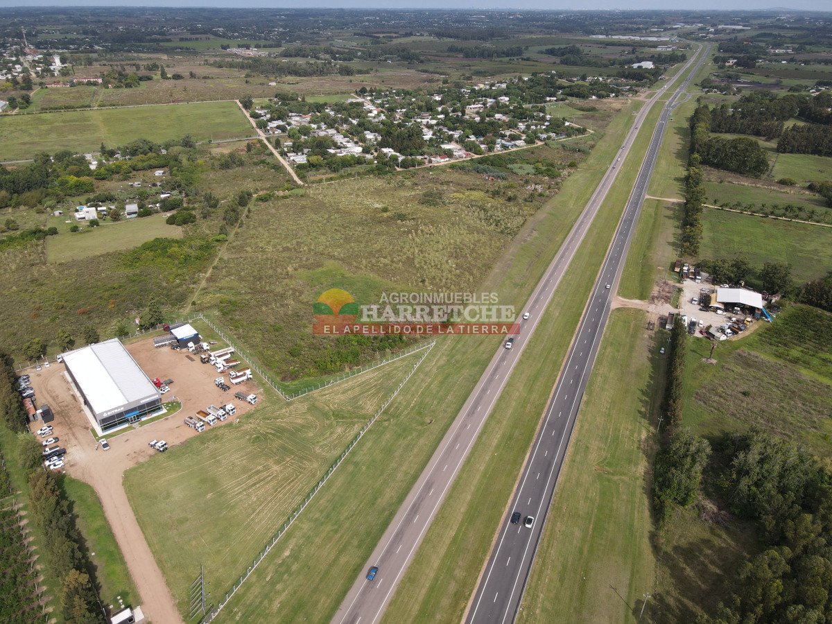 Terreno ID.442 - Terreno Industrial Estratégico sobre Ruta 5 ideal para Polo Logístico
