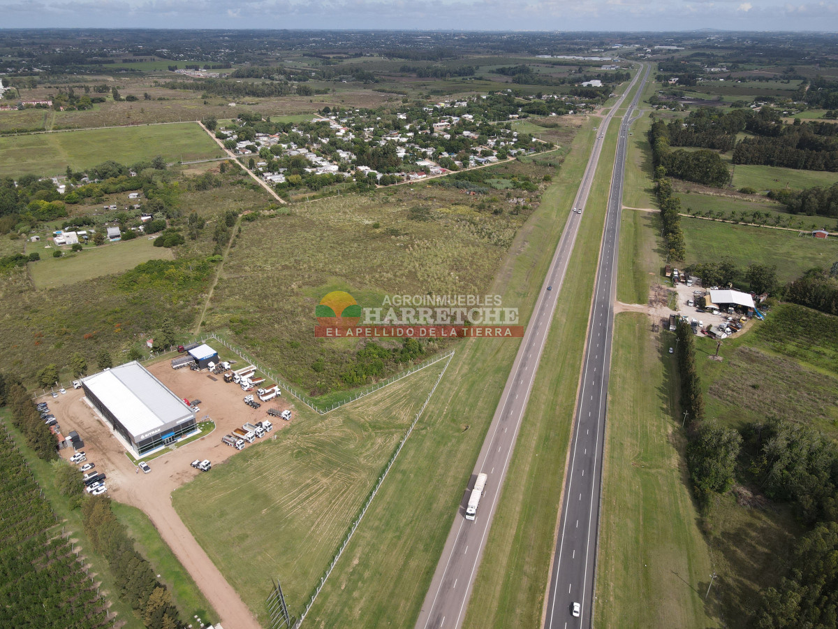 Terreno ID.442 - Terreno Industrial Estratégico sobre Ruta 5 ideal para Polo Logístico