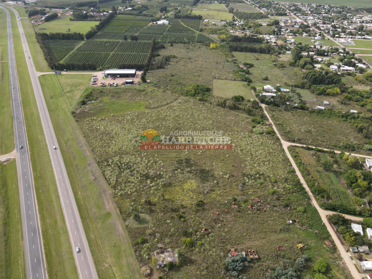 Terreno ID.442 - Terreno Industrial Estratégico sobre Ruta 5 ideal para Polo Logístico