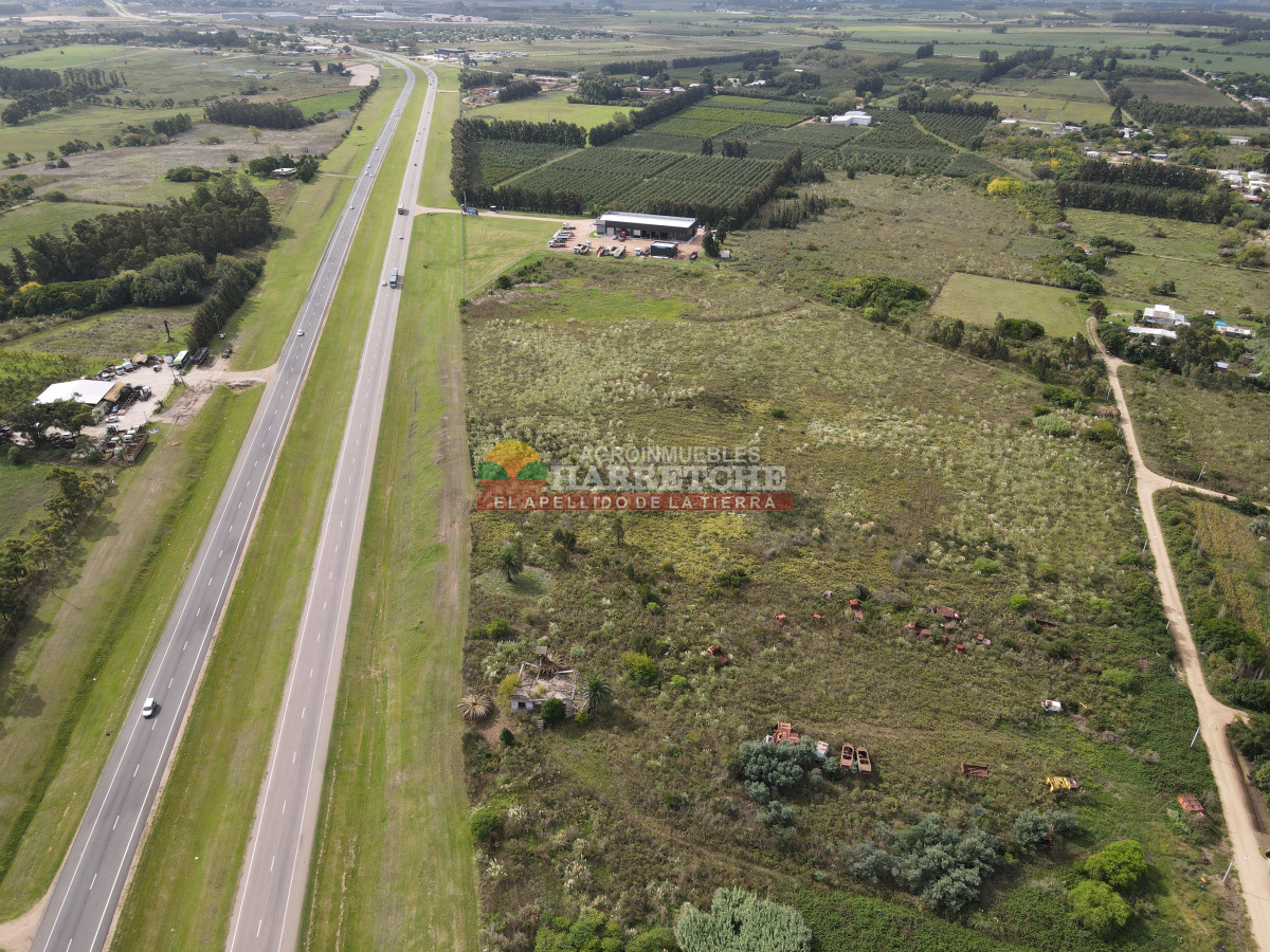 Terreno ID.442 - Terreno Industrial Estratégico sobre Ruta 5 ideal para Polo Logístico