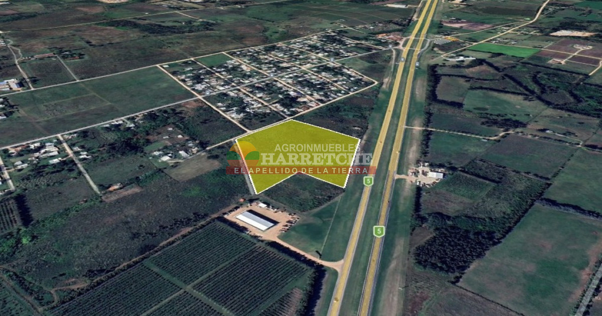 Terreno ID.442 - Terreno Industrial Estratégico sobre Ruta 5 ideal para Polo Logístico