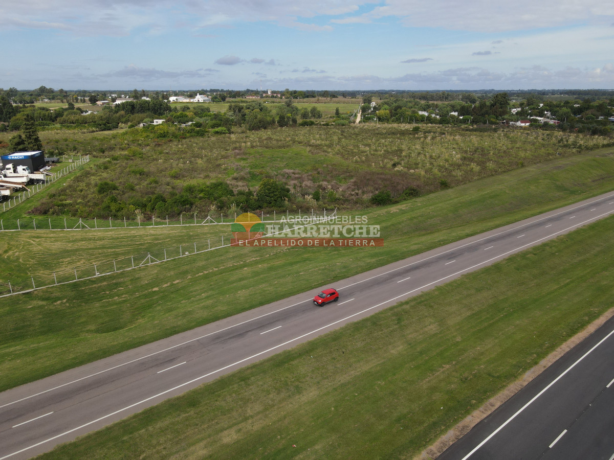Terreno ID.442 - Terreno Industrial Estratégico sobre Ruta 5 ideal para Polo Logístico