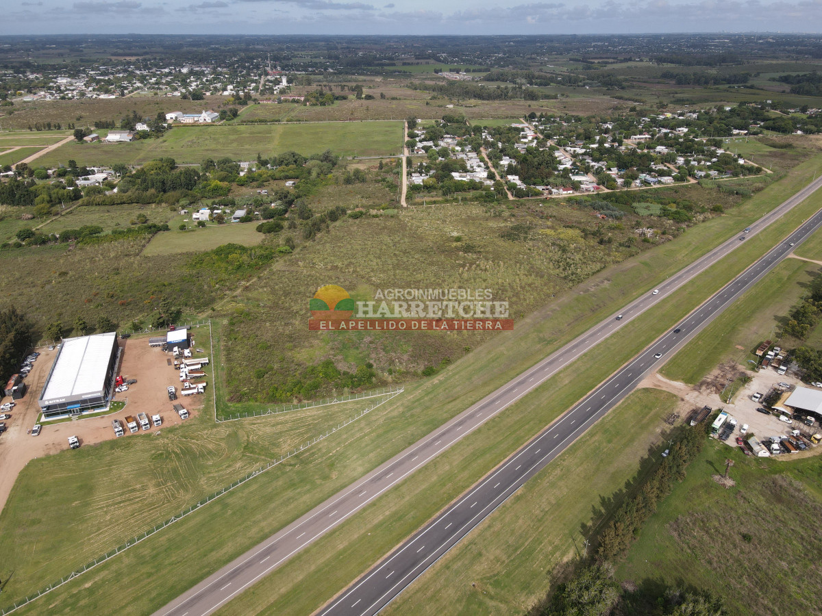 Terreno ID.442 - Terreno Industrial Estratégico sobre Ruta 5 ideal para Polo Logístico