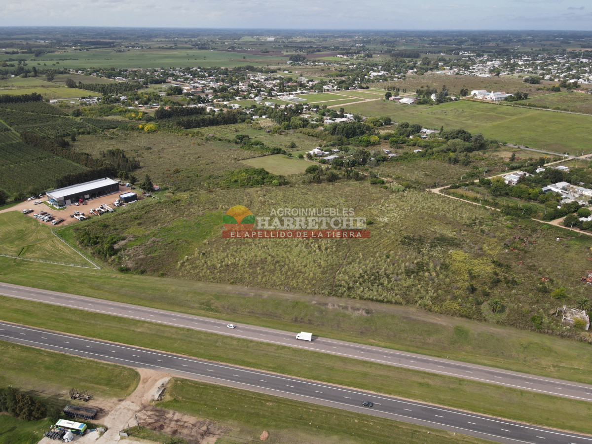 Terreno ID.442 - Terreno Industrial Estratégico sobre Ruta 5 ideal para Polo Logístico