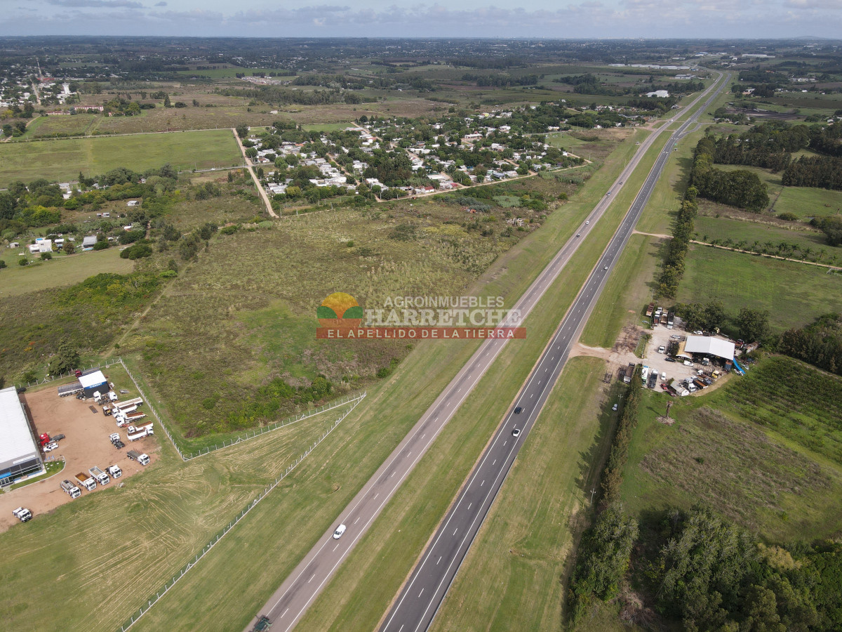 Terreno ID.442 - Terreno Industrial Estratégico sobre Ruta 5 ideal para Polo Logístico