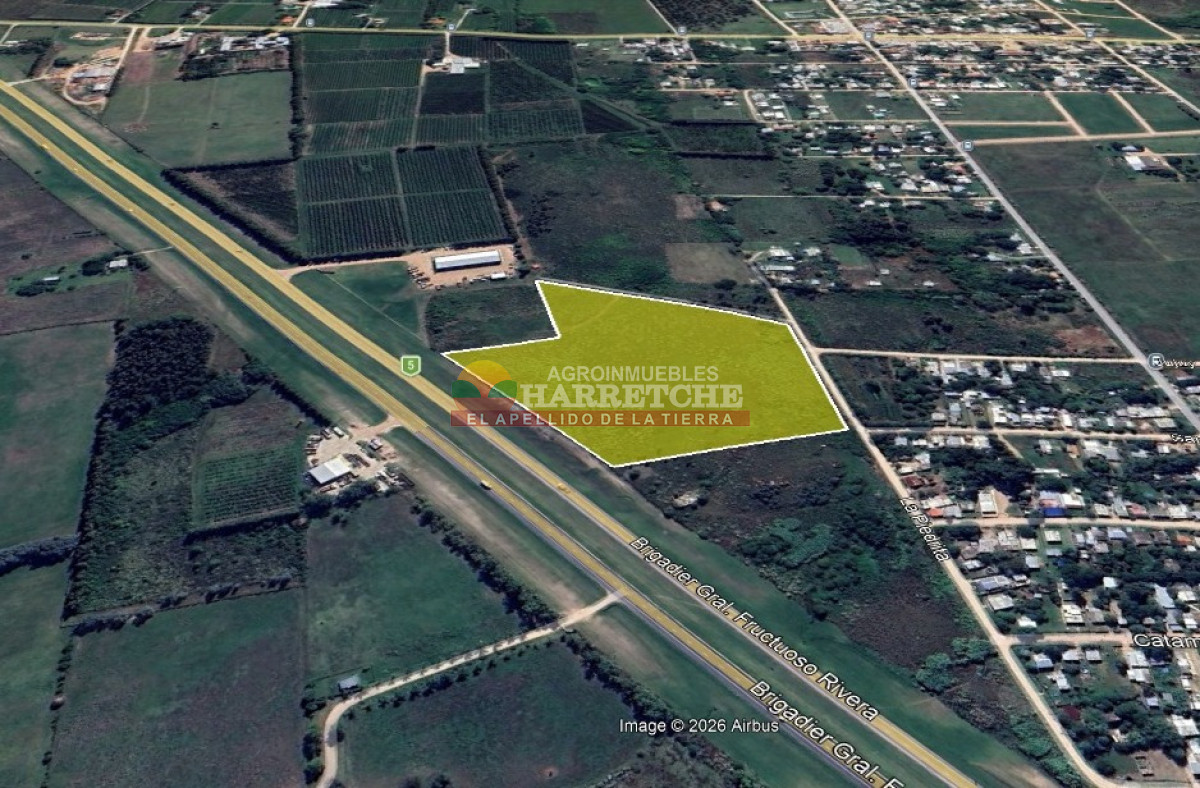 Terreno ID.442 - Terreno Industrial Estratégico sobre Ruta 5 ideal para Polo Logístico
