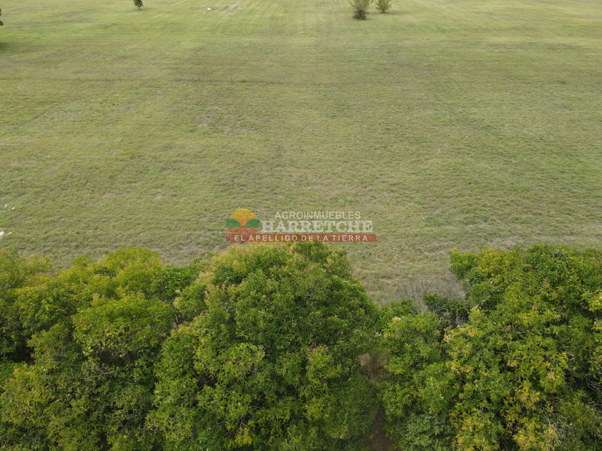 Terreno ID.519 - Terreno en Progreso, 360 m² en Jardín de los Ingleses® ¡Financiación directa!