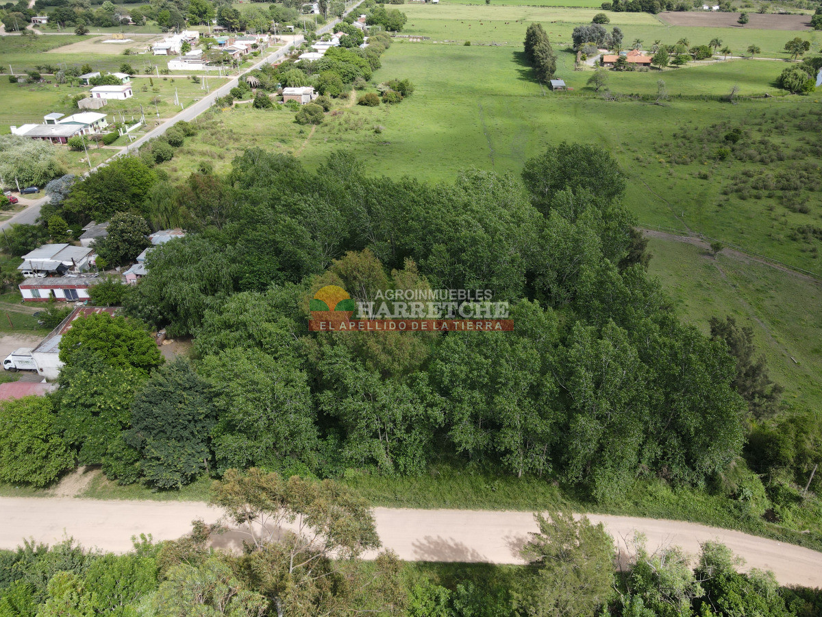 Terreno ID.489 - Terreno centrico para fraccionar en Los Cerrillos 