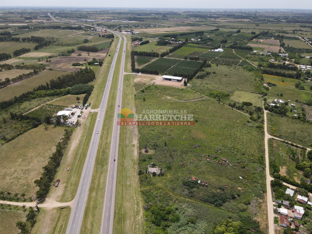 Terreno ID.95 - Terreno 4 en venta sobre ruta 5 suburbanos 4 padrones. ¡¡¡ÚNICOS!!!