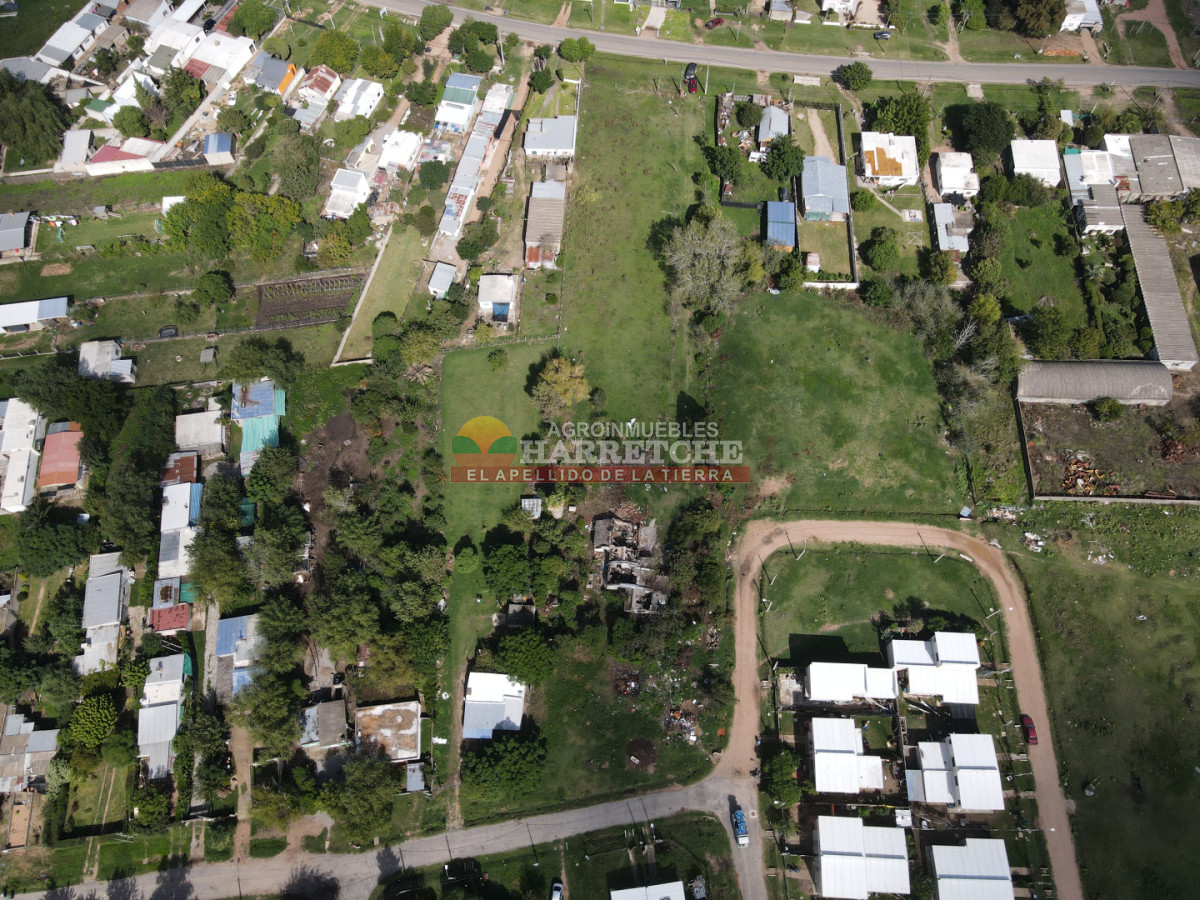 Terreno ID.514 - Terreno en Santa Lucia, 4696 m2 con frente a ruta y calle!