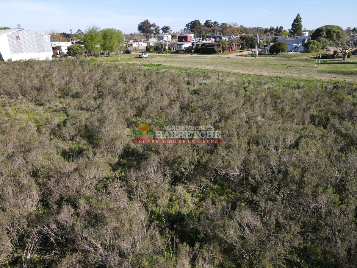 Terreno ID.485 - Terreno urbano en Progreso, 10.194 m2 a 600 m de Av. Artigas