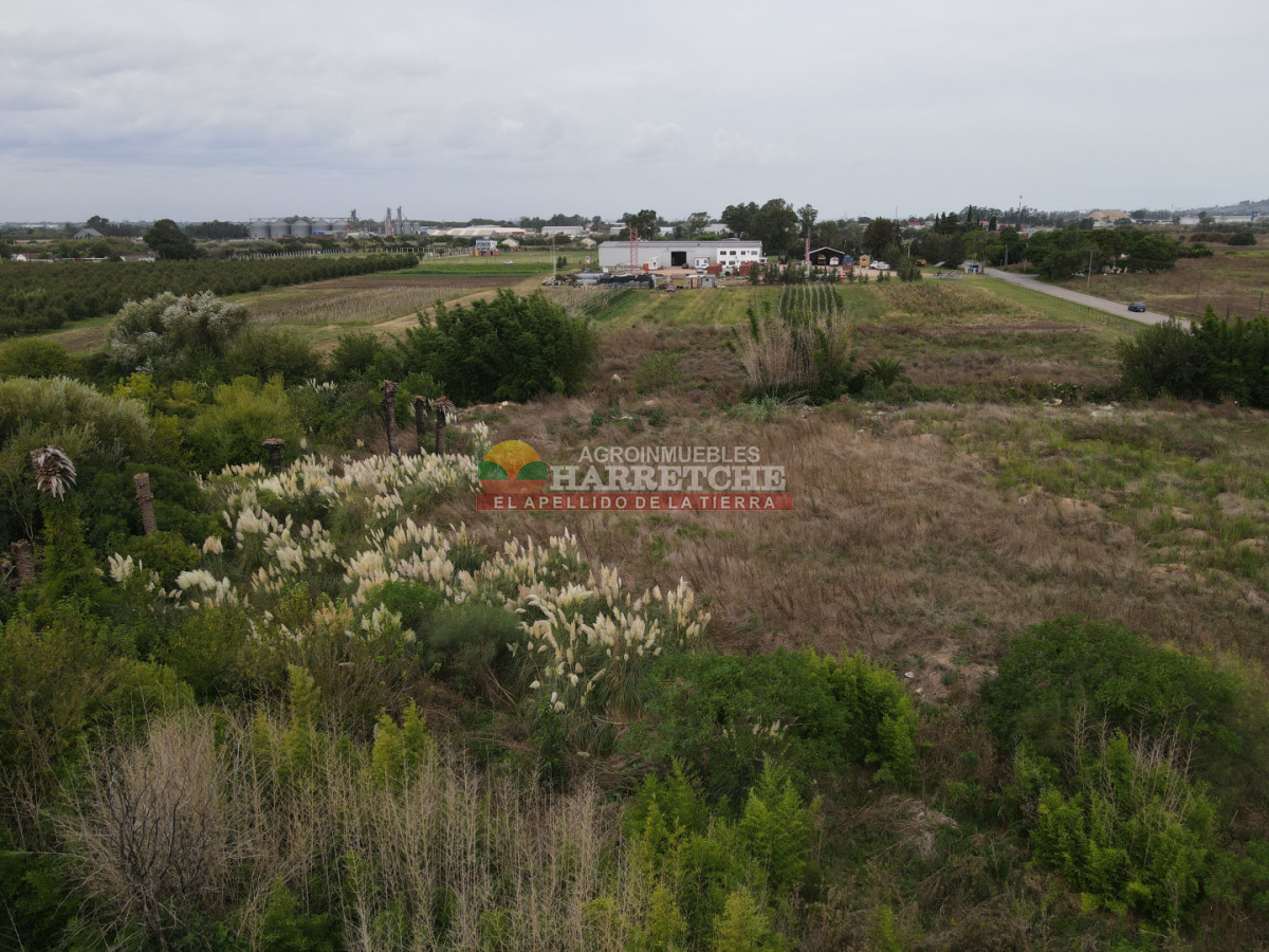 Terreno ID.512 - Terreno en Paso de la Arena, 15.789 m2, excelente ubicación! 