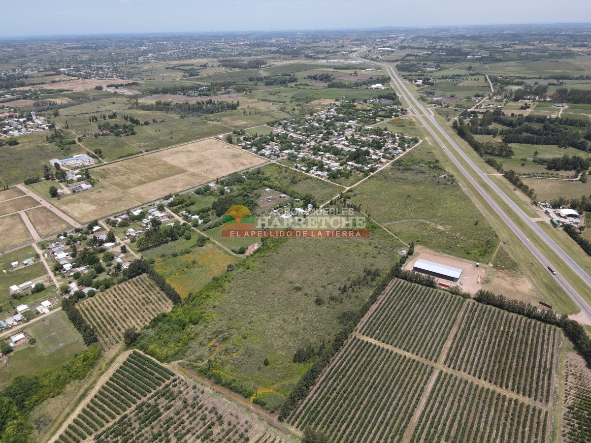 Terreno ID.95 - Terreno 4 en venta sobre ruta 5 suburbanos 4 padrones. ¡¡¡ÚNICOS!!!