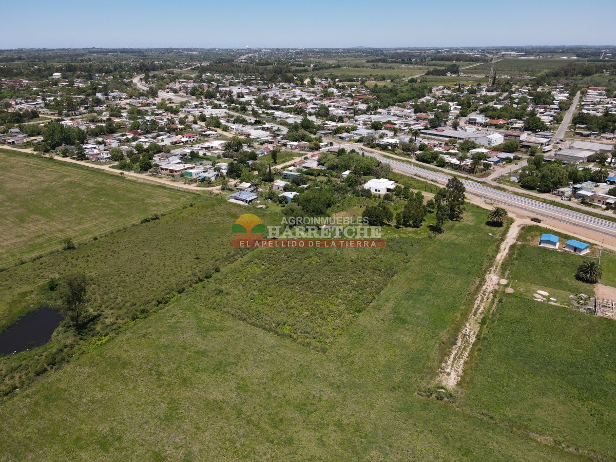 Terreno ID.348 - Terreno de 8000 m2 en Progreso, ideal fraccionamiento.