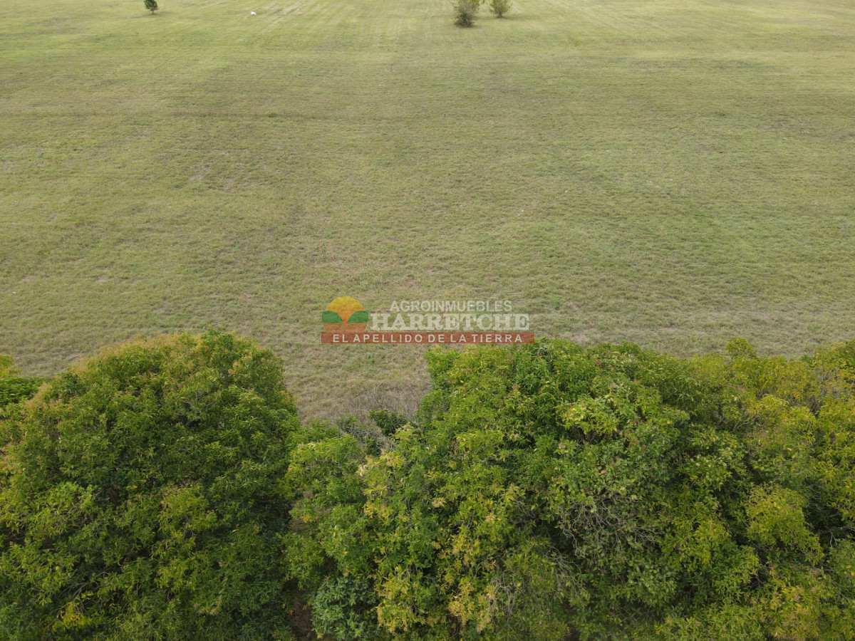 Terreno ID.517 - Terreno en Progreso, 360 m2 en Jardín de los Ingleses (4) ¡Financiación directa!