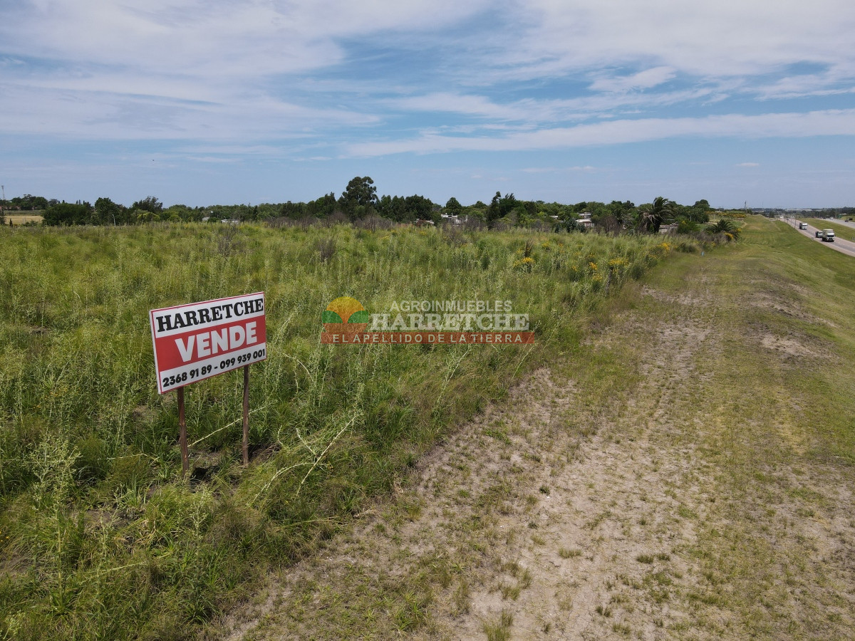 Terreno ID.95 - Terreno 4 en venta sobre ruta 5 suburbanos 4 padrones. ¡¡¡ÚNICOS!!!