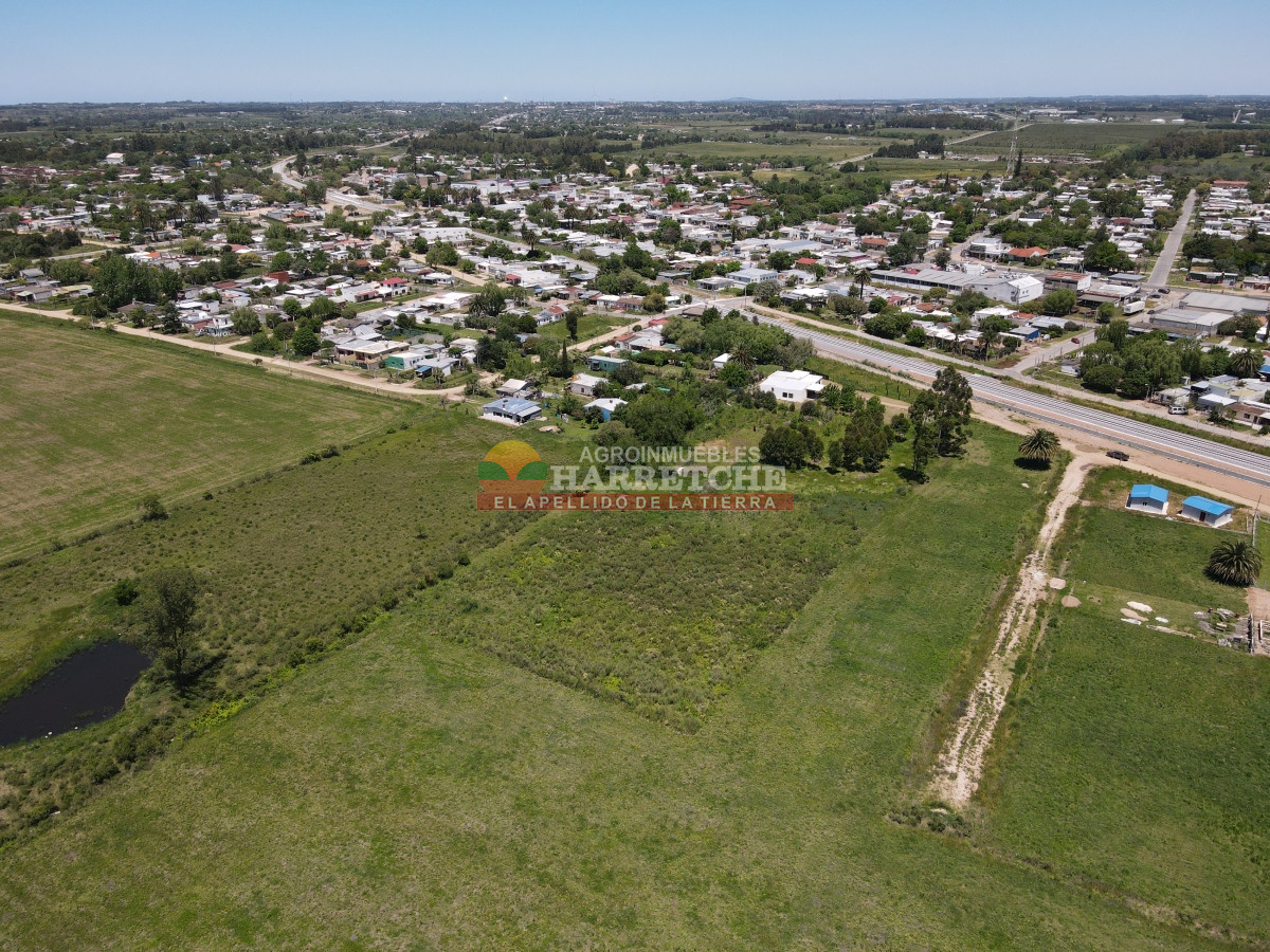 Terreno ID.348 - Terreno de 8000 m2 en Progreso, ideal fraccionamiento.