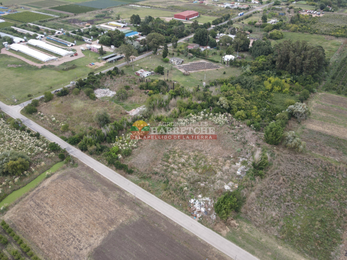 Terreno ID.512 - Terreno en Paso de la Arena, 15.789 m2, excelente ubicación! 