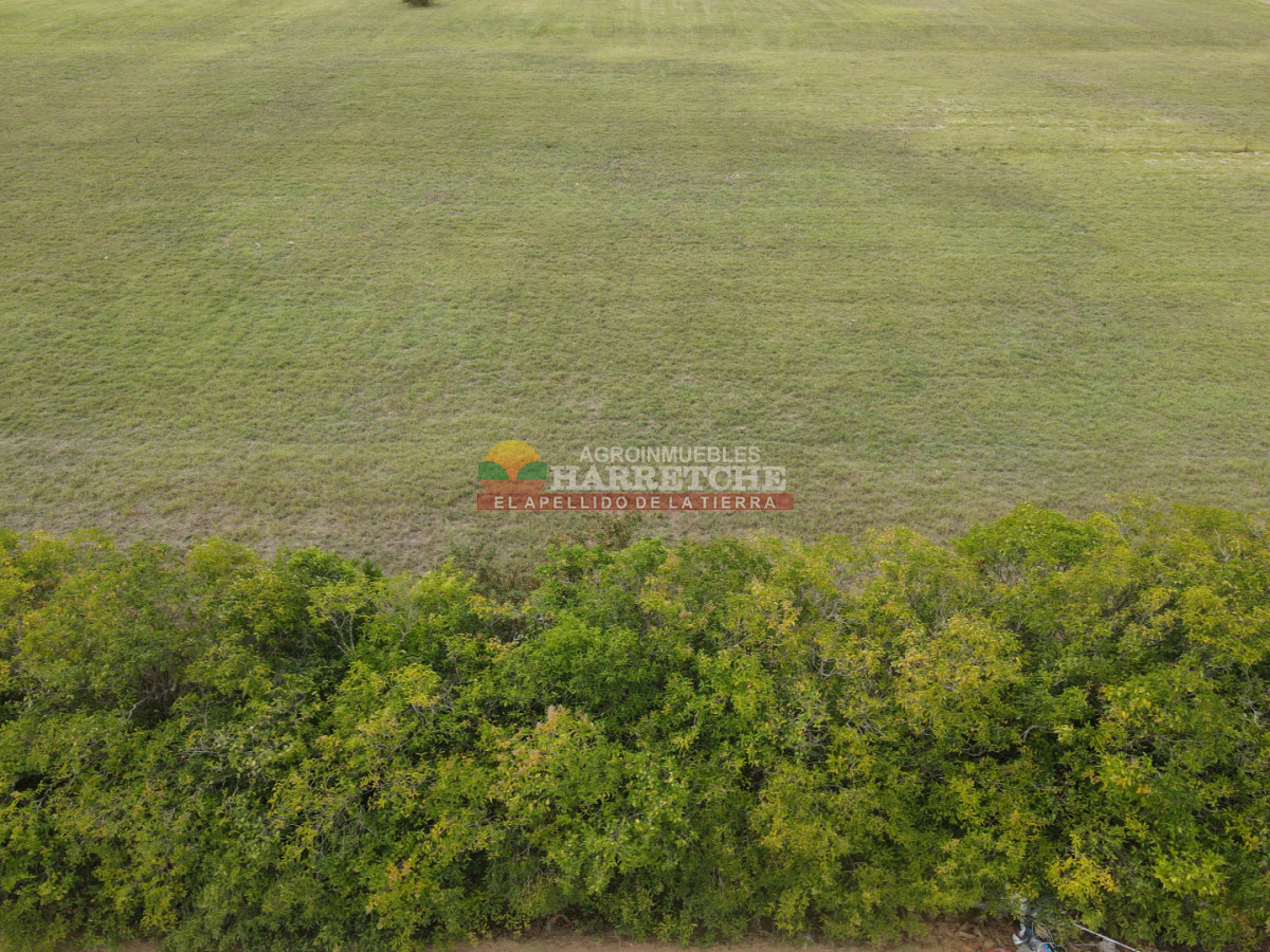 Terreno ID.518 - Terreno en Progreso, 360 m2 en Jardín de los Ingleses (5) ¡Financiación directa!