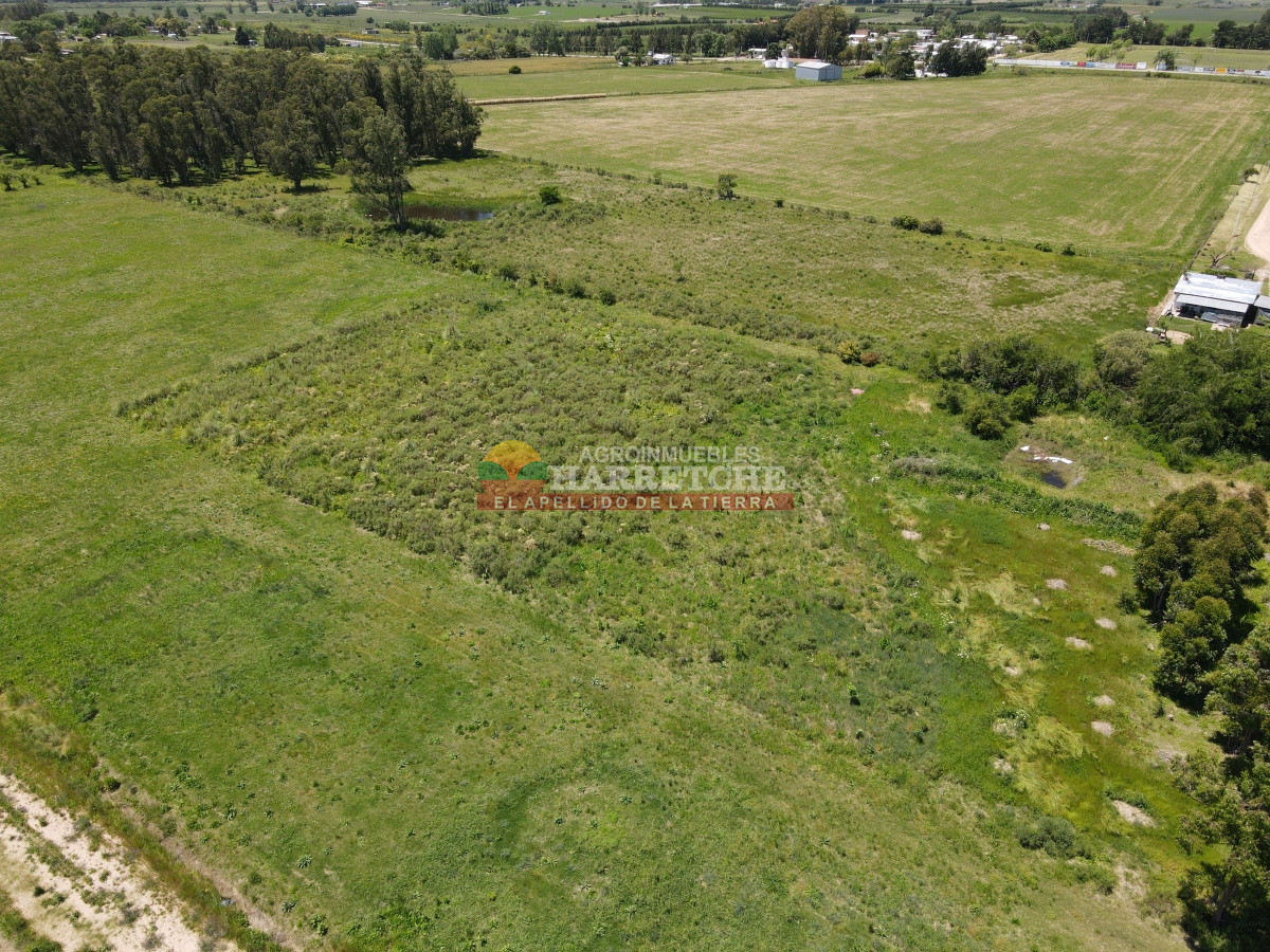 Terreno ID.348 - Terreno de 8000 m2 en Progreso, ideal fraccionamiento.