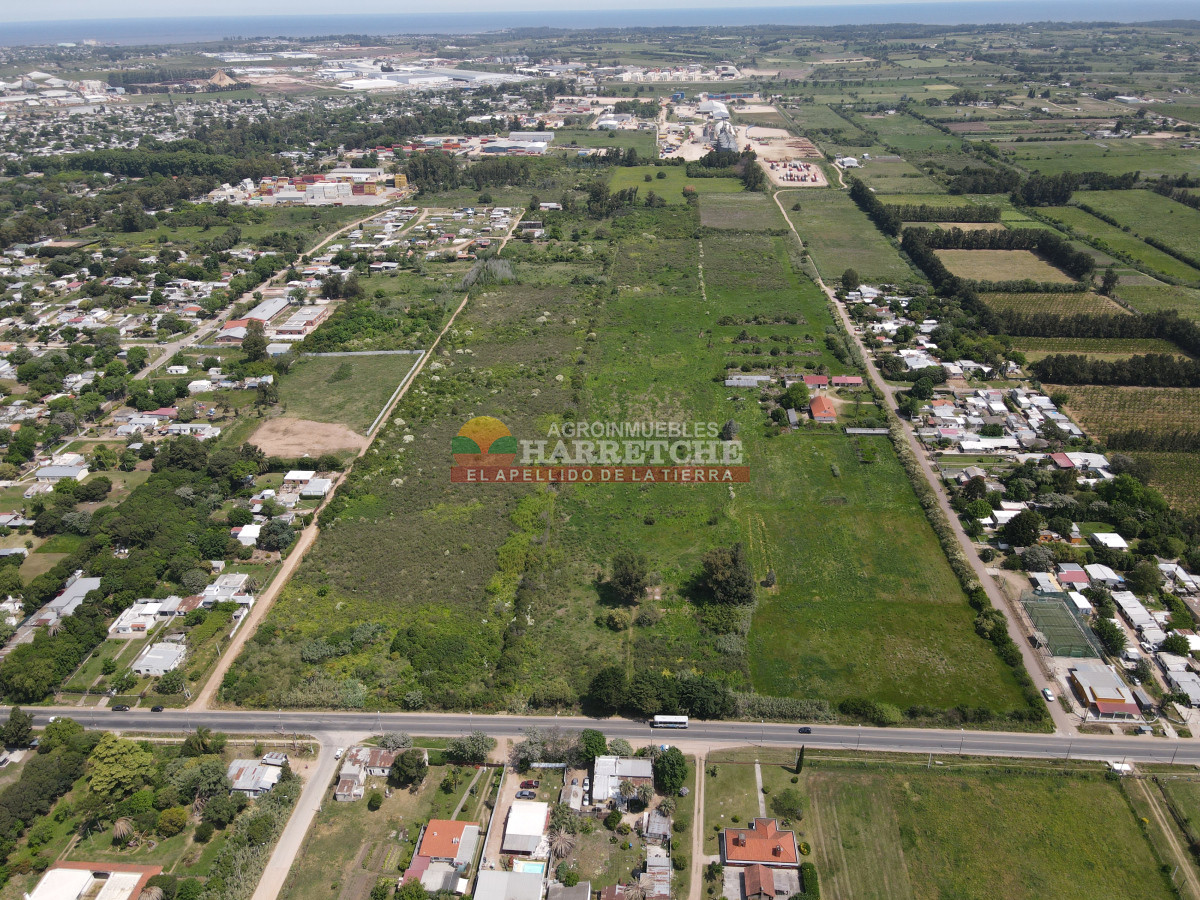 Terreno ID.414 - Terreno en Paso de la Arena, 77.000 m2 únicos en la zona, sobre Batlle Berres.