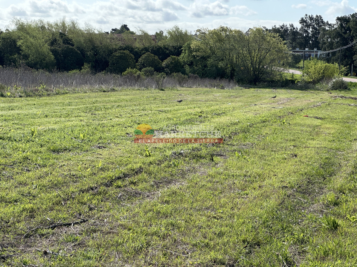 Terreno ID.409 - Terrenos en venta en Progreso, fraccionamiento Jardín de los Ingleses