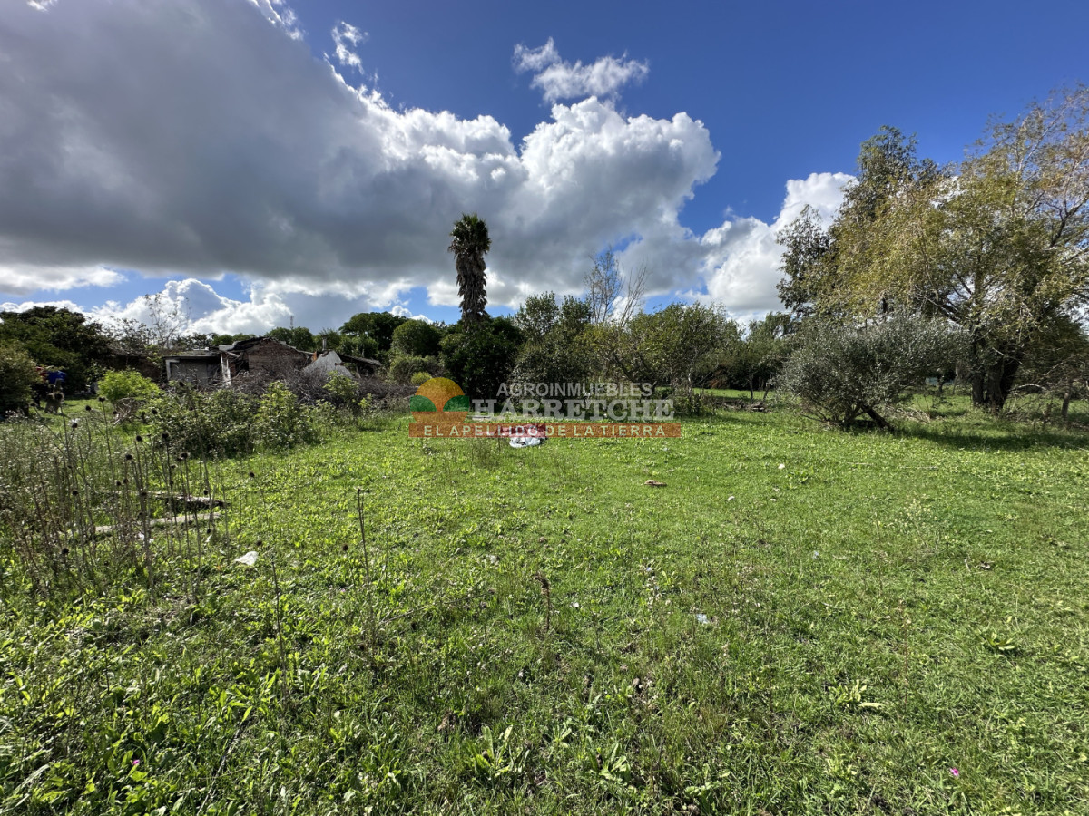 Terreno ID.514 - Terreno en Santa Lucia, 4696 m2 con frente a ruta y calle!