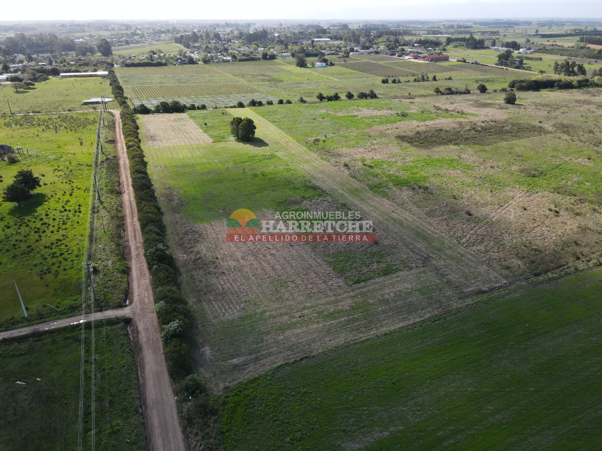 Terreno ID.409 - Terrenos en venta en Progreso, fraccionamiento Jardín de los Ingleses