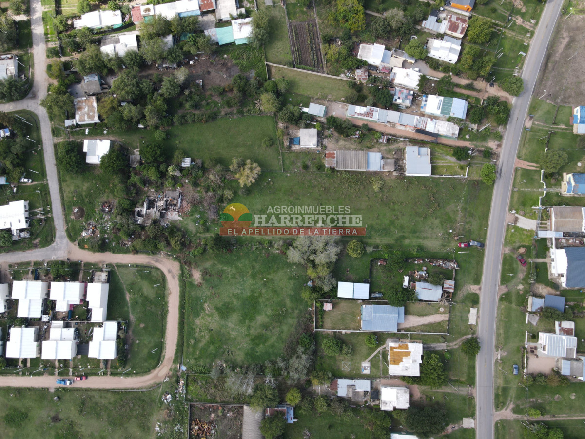 Terreno ID.514 - Terreno en Santa Lucia, 4696 m2 con frente a ruta y calle!