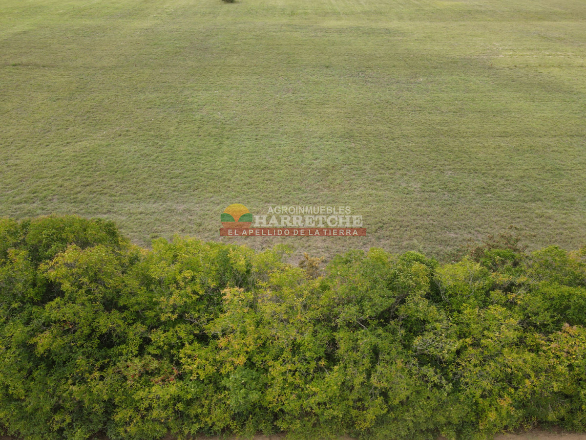 Terreno ID.517 - Terreno en Progreso, 360 m2 en Jardín de los Ingleses (4) ¡Financiación directa!