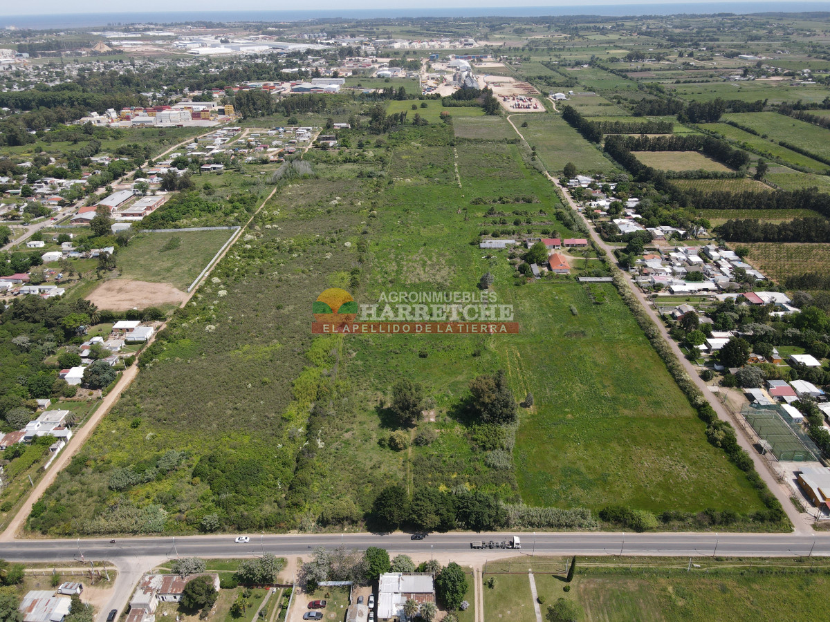 Terreno ID.414 - Terreno en Paso de la Arena, 77.000 m2 únicos en la zona, sobre Batlle Berres.