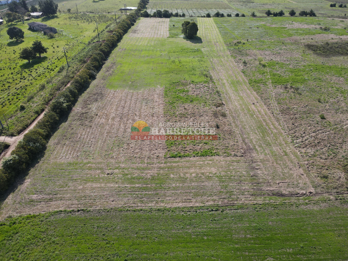 Terreno ID.409 - Terrenos en venta en Progreso, fraccionamiento Jardín de los Ingleses