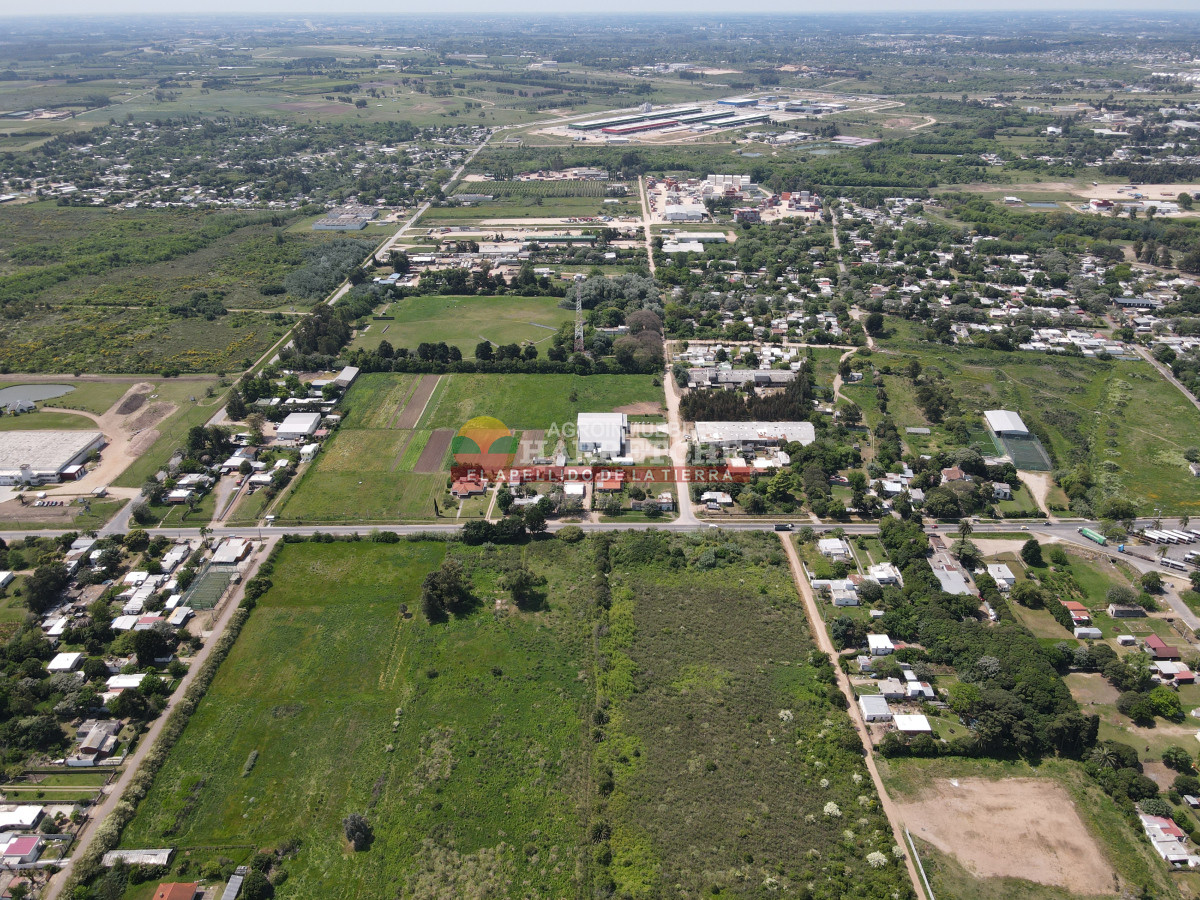 Terreno ID.414 - Terreno en Paso de la Arena, 77.000 m2 únicos en la zona, sobre Batlle Berres.