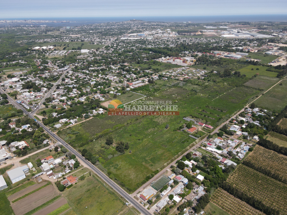 Terreno ID.414 - Terreno en Paso de la Arena, 77.000 m2 únicos en la zona, sobre Batlle Berres.